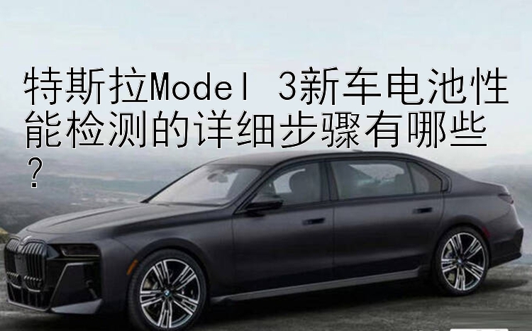 特斯拉Model 3新车电池性能检测的详细步骤有哪些？