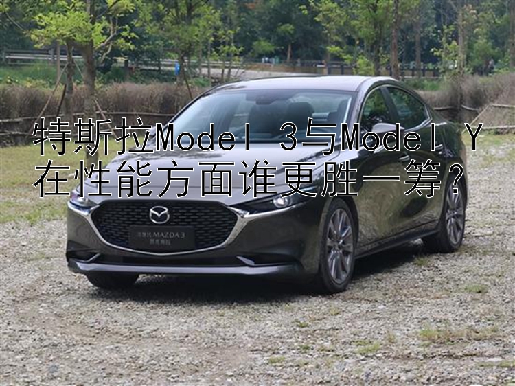 特斯拉Model 3与Model Y在性能方面谁更胜一筹？