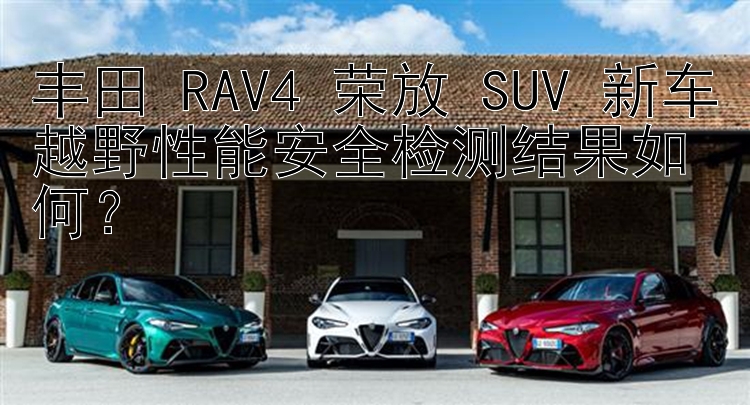 丰田 RAV4 荣放 SUV 新车越野性能安全检测结果如何？