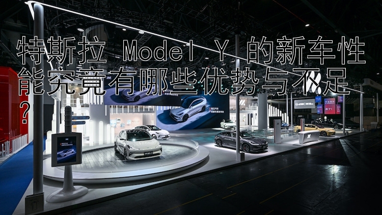 特斯拉 Model Y 的新车性能究竟有哪些优势与不足？