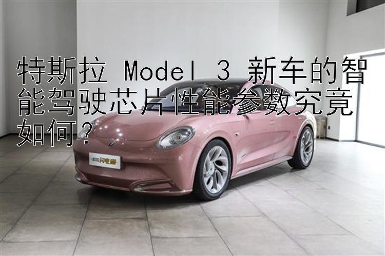 特斯拉 Model 3 新车的智能驾驶芯片性能参数究竟如何？